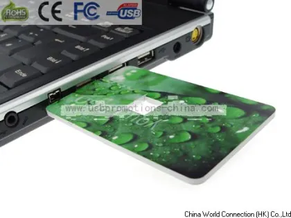 usb flash drive credit card