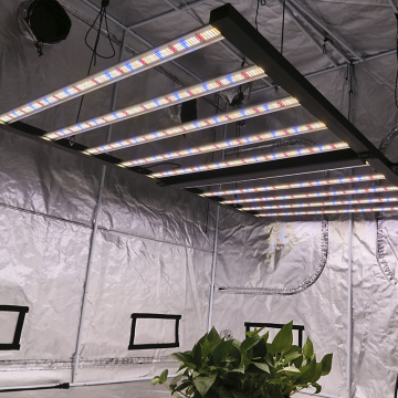 Painel de Luzes para Crescer Horticultura de 1000W