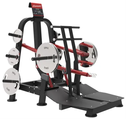 Belt Squat for strength training