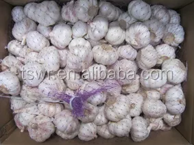 shandong garlic white garlic  fresh garlic