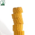 Office Food Corn Kernels