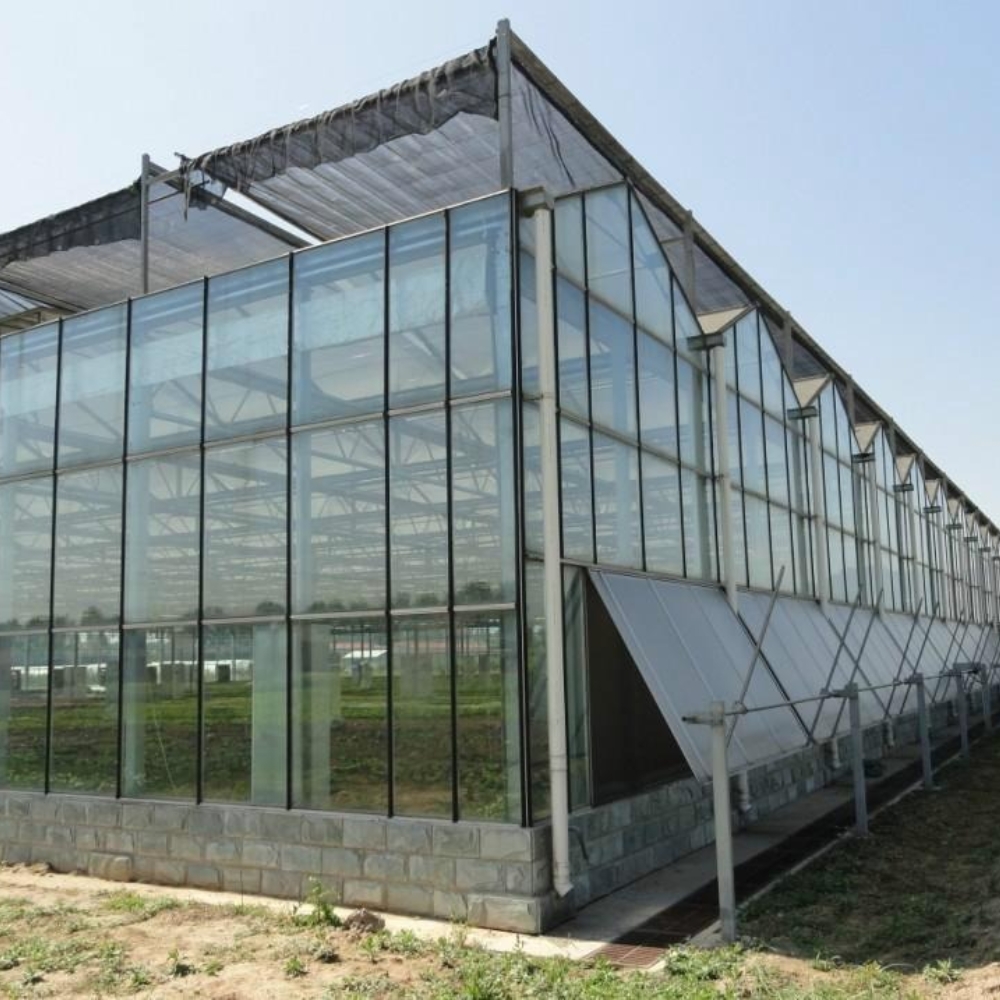 Glass Multi-span Greenhouse Glass Multi-span Greenhouse