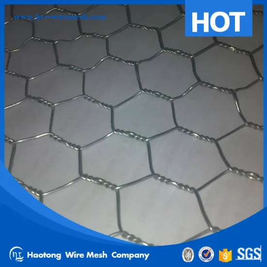 Professional Manufacture hexagonal mesh