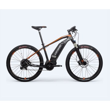 Customized Specialized Ebike Hardtail