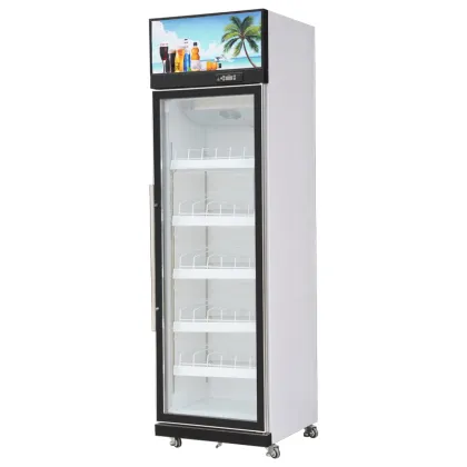 Large Capacity Hot Pepsi Wine for Commercial Restaurant Beverage Showcase