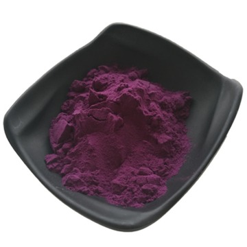 TOP Quality Beta Vulgaris Extract Powder Beet Root Extract Powder