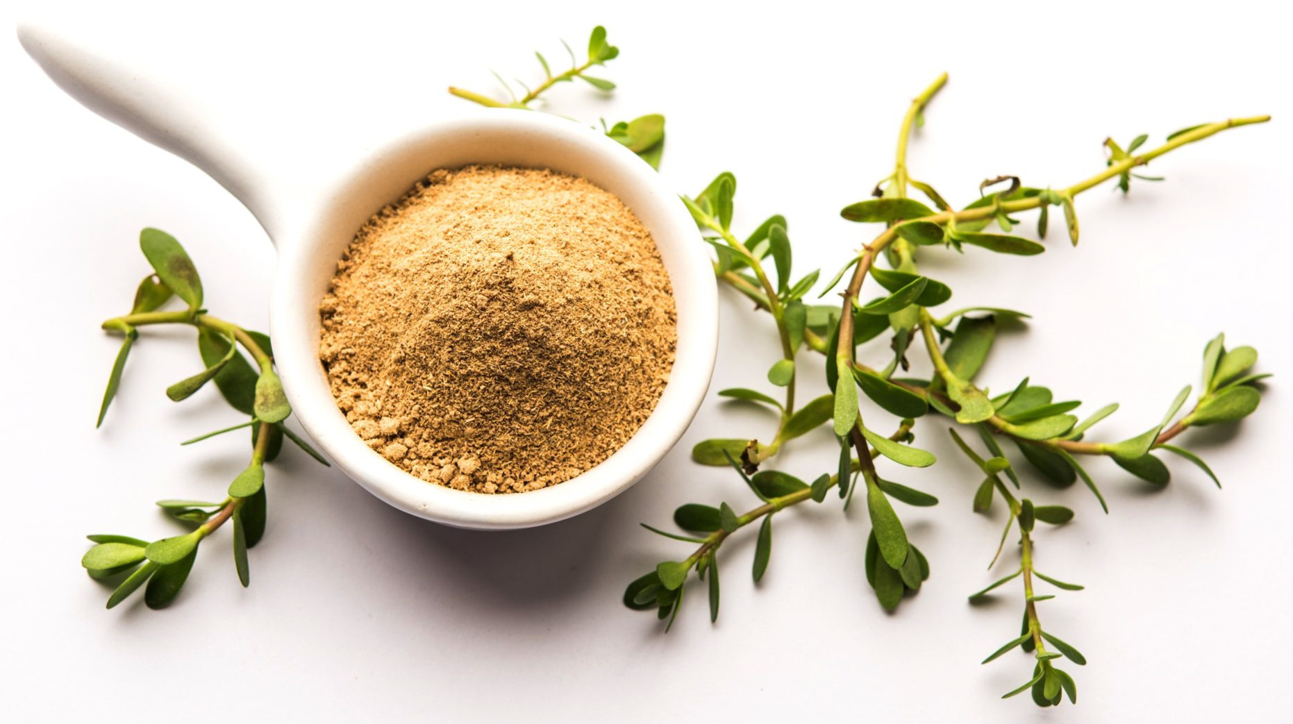 bacopa extract powder