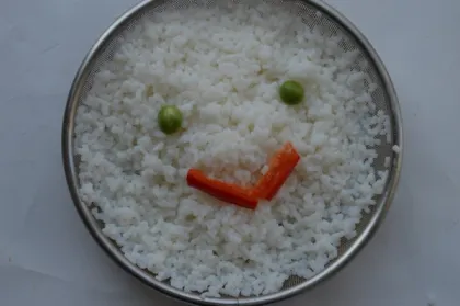 vegan diet weight loss shirataki noodles sugar free rice, konjac rice