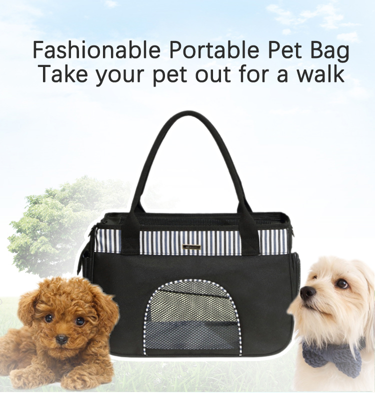 Pet Travel Carrier