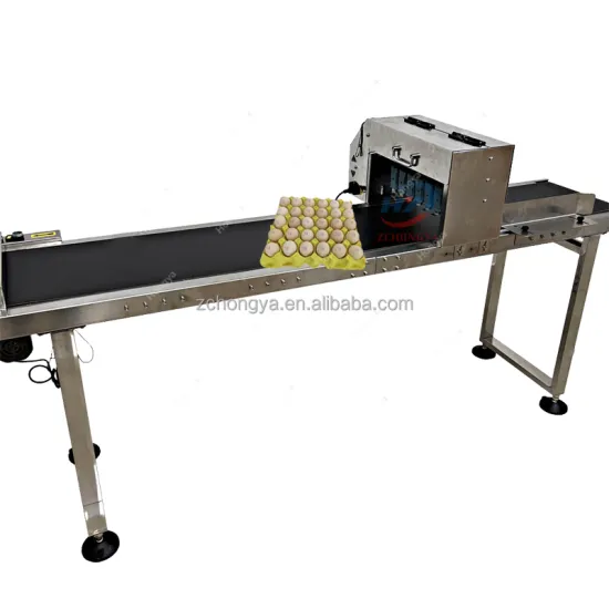 Automatic Egg Stamping Inkjet Printer for Newest Products with Expiry Date and Batch Code