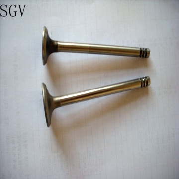 Original Intake and Exhaust Diesel Engine Valves for 1KD/2KD/2L/3L