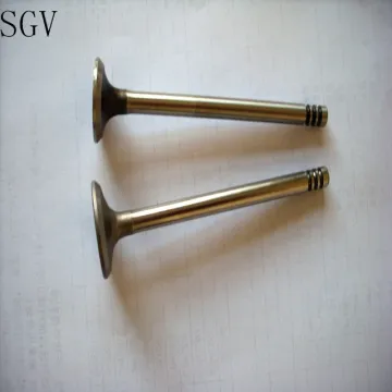 Original Intake and Exhaust Diesel Engine Valves for 1KD/2KD/2L/3L