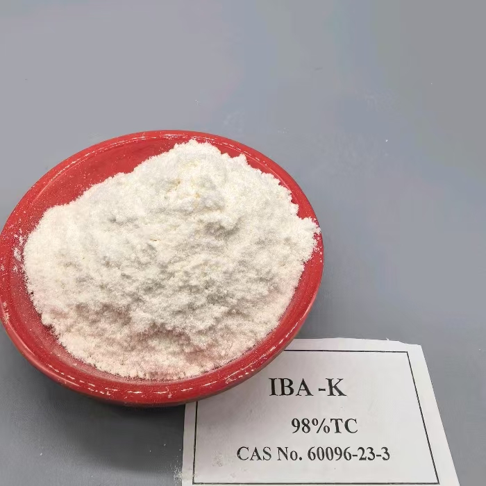 Auxin IBA IBA-K Indole-3-butyric acid Potassium salt plant growth regulator