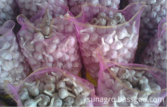 Bagged White Garlic