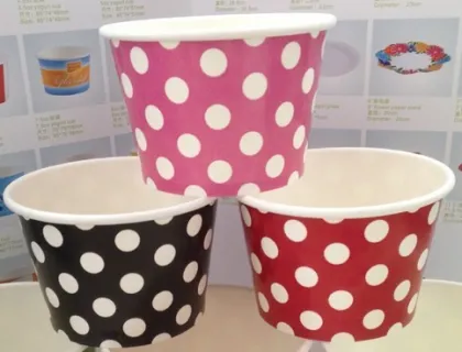 Frozen yogurt&ice cream cup