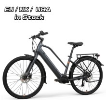 Elektrische Pit Bike LC02 für Erwachsene