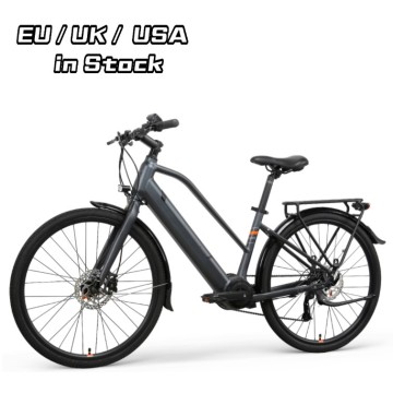 Bike elettrico per adulti per adulti LC02