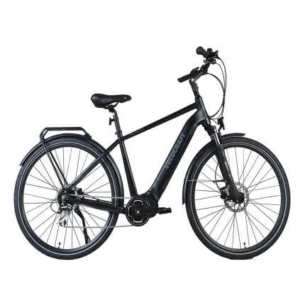 XY-Altus electric hybrid bicycles