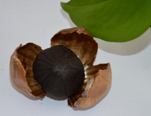 wholesale Chinese high quality black garlic ,bulb garlic