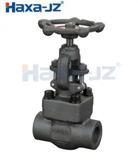 Globe Valve (Forged Steel)