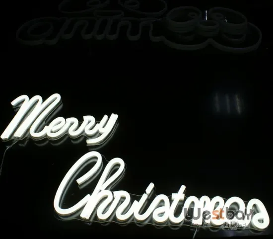 120V Superbright LED Neon Tube