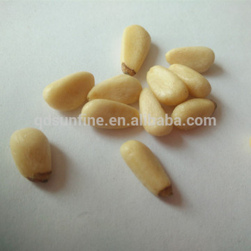 Superior quality cedar pine nuts for sale