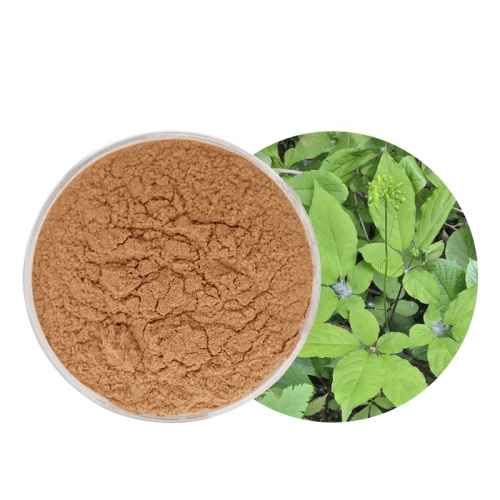 Panax Ginseng Blattextrakt