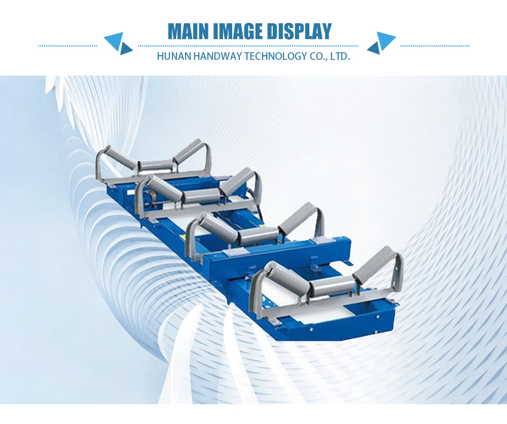 1CS-800-203 Electronic Belt Conveyor Scale-x