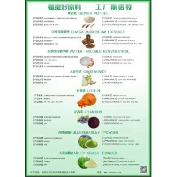 Premium Grapefruit Extract Bulk Naringin 98% for Heart Health
