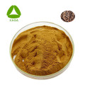 Coriolus Paddestoel Extract Poeder Polysacharide 10%-50%