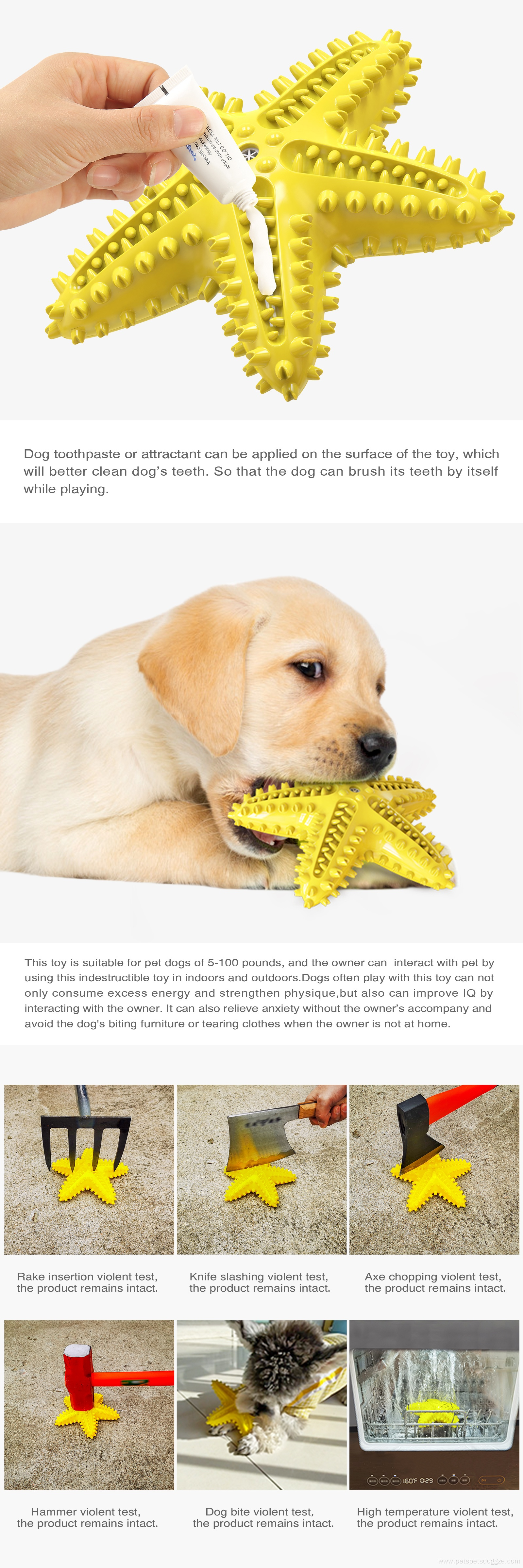 Pet Chew Toy Vocalable Starfish Dog Scratcher Toy