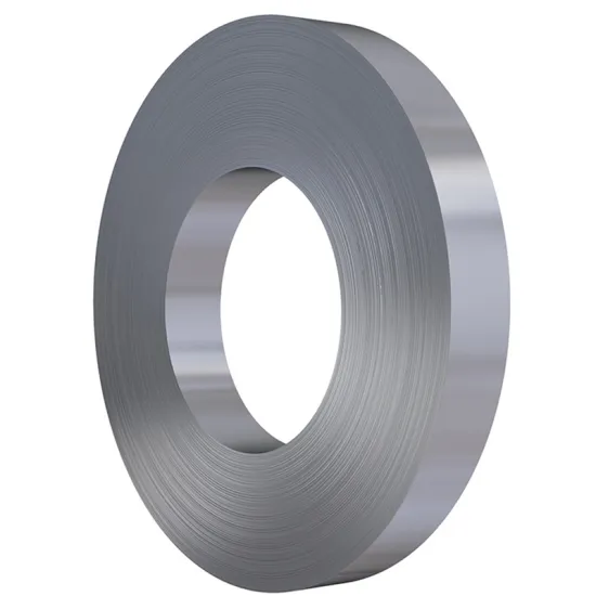ASTM Food Grade Stainless Steel Coils and Strips: Types 201, 304, 310S, 316 in 2mm Thickness