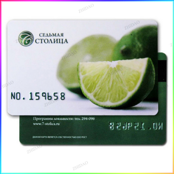 Embossed logo customized PVC card with punched numbers