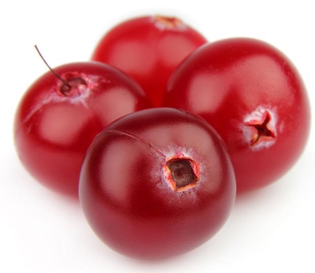 cranberry powder (1)