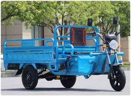 Electric Cargo Tricycle Vending Cart Bike