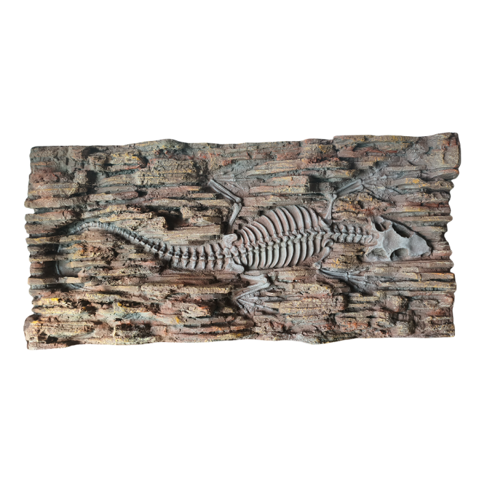 Decoração de rocha fóssil de dinossauros de grandes dimensões para gabinetes de répteis