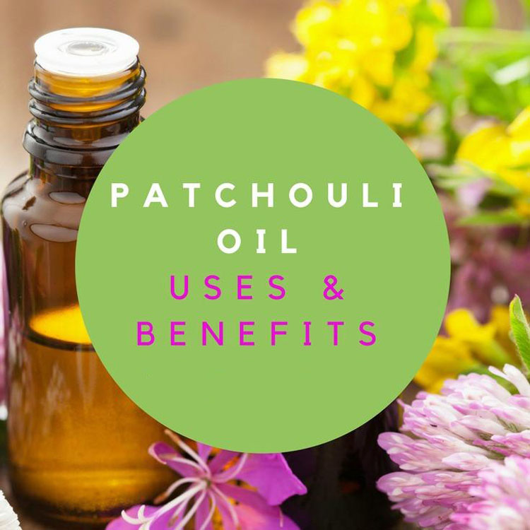 Wholesale herbs oil Patchouli essential oil at bulk price