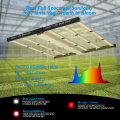 Aglex de alta intensidade 720W Grow Light para planta Merdical Indoor Plant BAR Dimmable LED LED LUZ COM UV IR