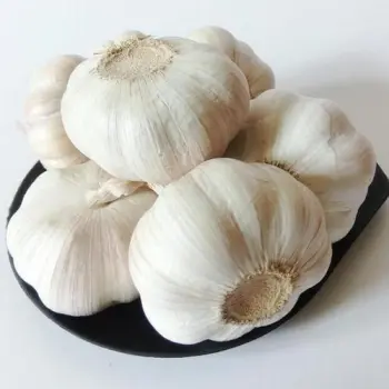Multi specification fresh organic garlic