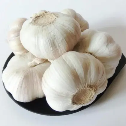 Multi specification fresh organic garlic