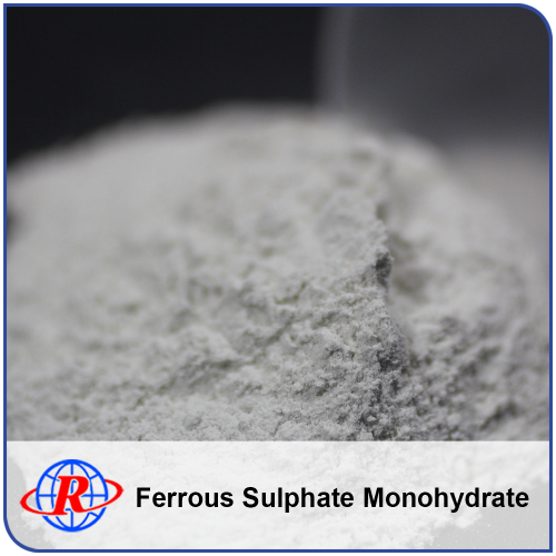 Competitive Price Ferrous Sulfate Molecular Weight Powder Monohydrate China Factory