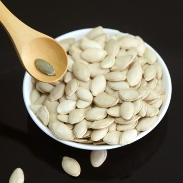 WholesaleWhite Shine Skin In shell Pumpkin Seeds