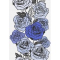 /msite/products/detail/productid/58722325/id/680817.html
