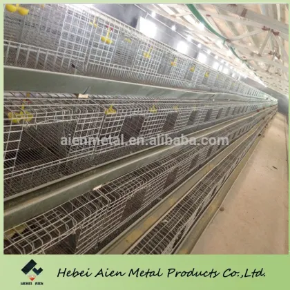 farming used poultry cage long life using