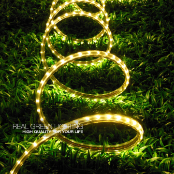 Direct Factory 220V SMD 5730 Yellow Flexible LED Strip Light