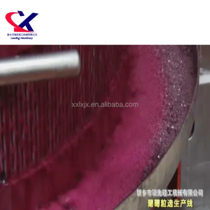 Grape Juice Machine for White Grape Juice Concentrate - Made in China