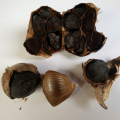 Best Whole Black Garlic Single Bulb With FDA