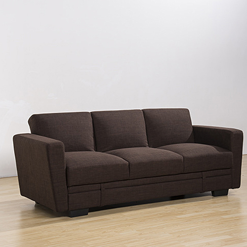 Storage Sofa Bed