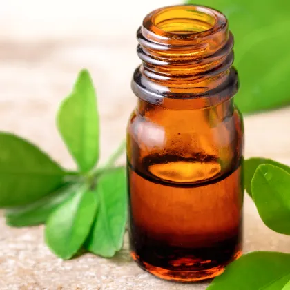 Milk thistle seed oil cncsbio bulk