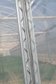 Skyplant Greenhouse Film Lock ProfileとWiggle Wire